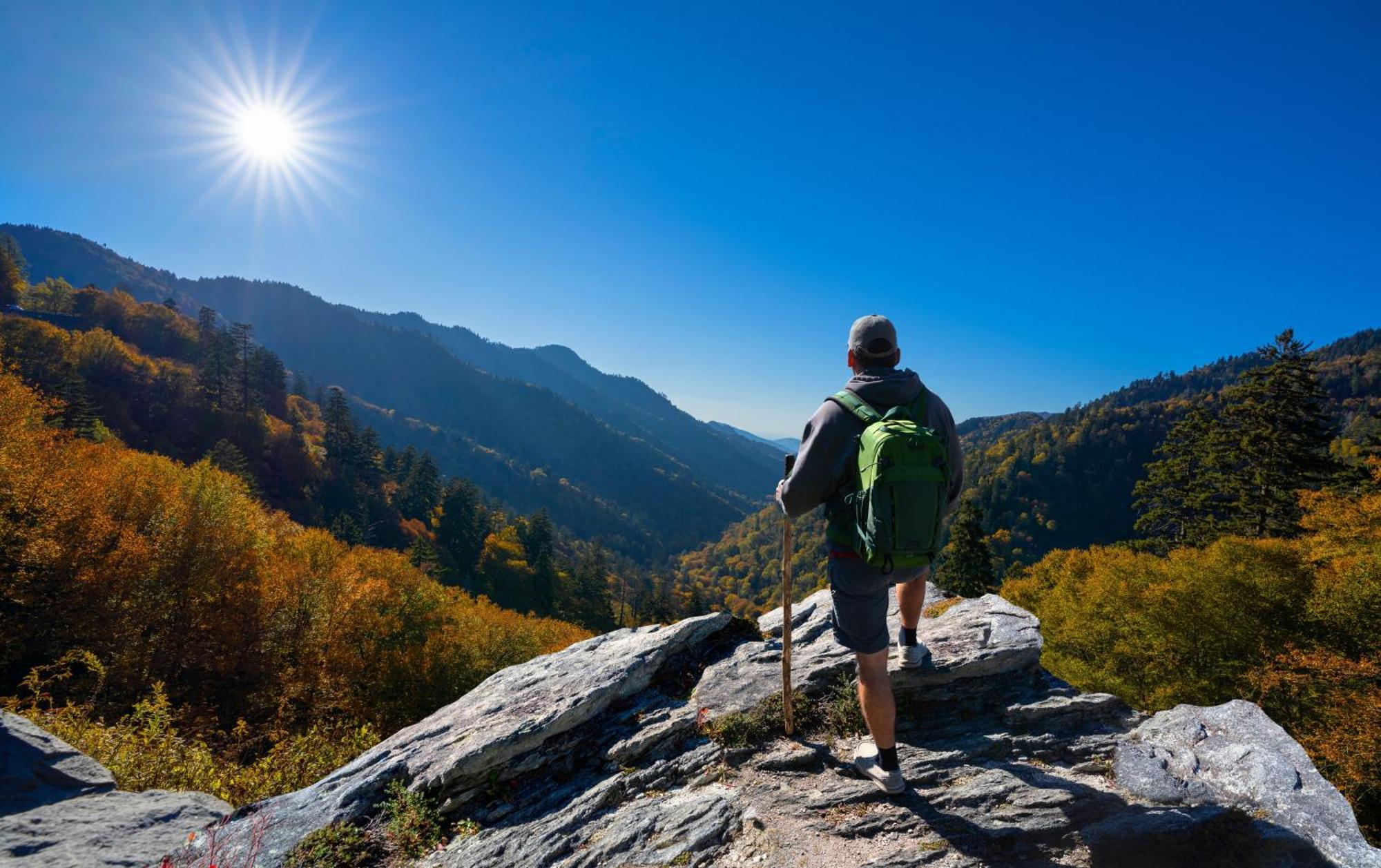 Smoky Mountain Serenity, Amazing Mountain Views 1089 Free Tickets Each Paid Day, Dollywood And More سيفيرفيل المظهر الخارجي الصورة