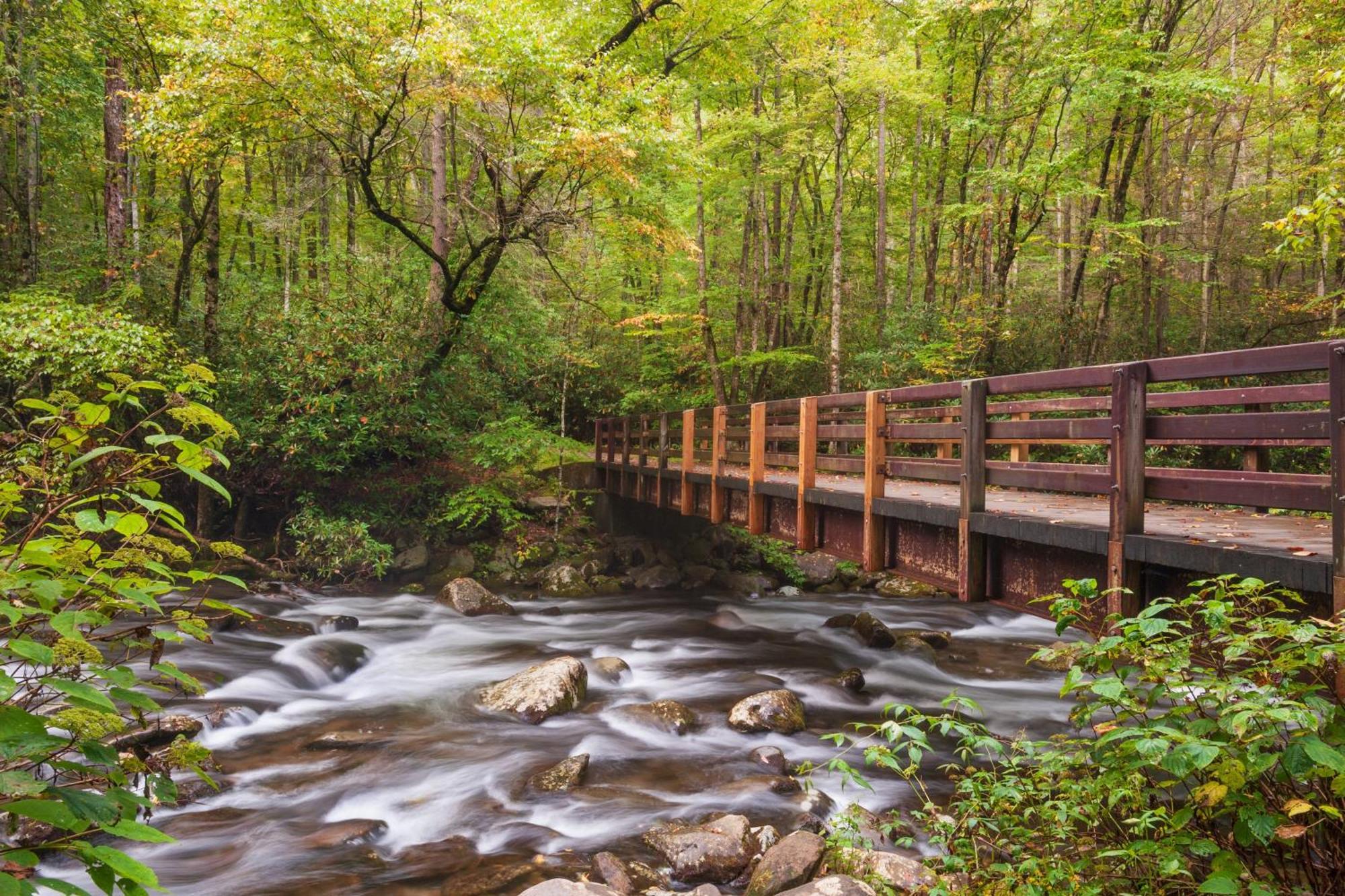Smoky Mountain Serenity, Amazing Mountain Views 1089 Free Tickets Each Paid Day, Dollywood And More سيفيرفيل المظهر الخارجي الصورة