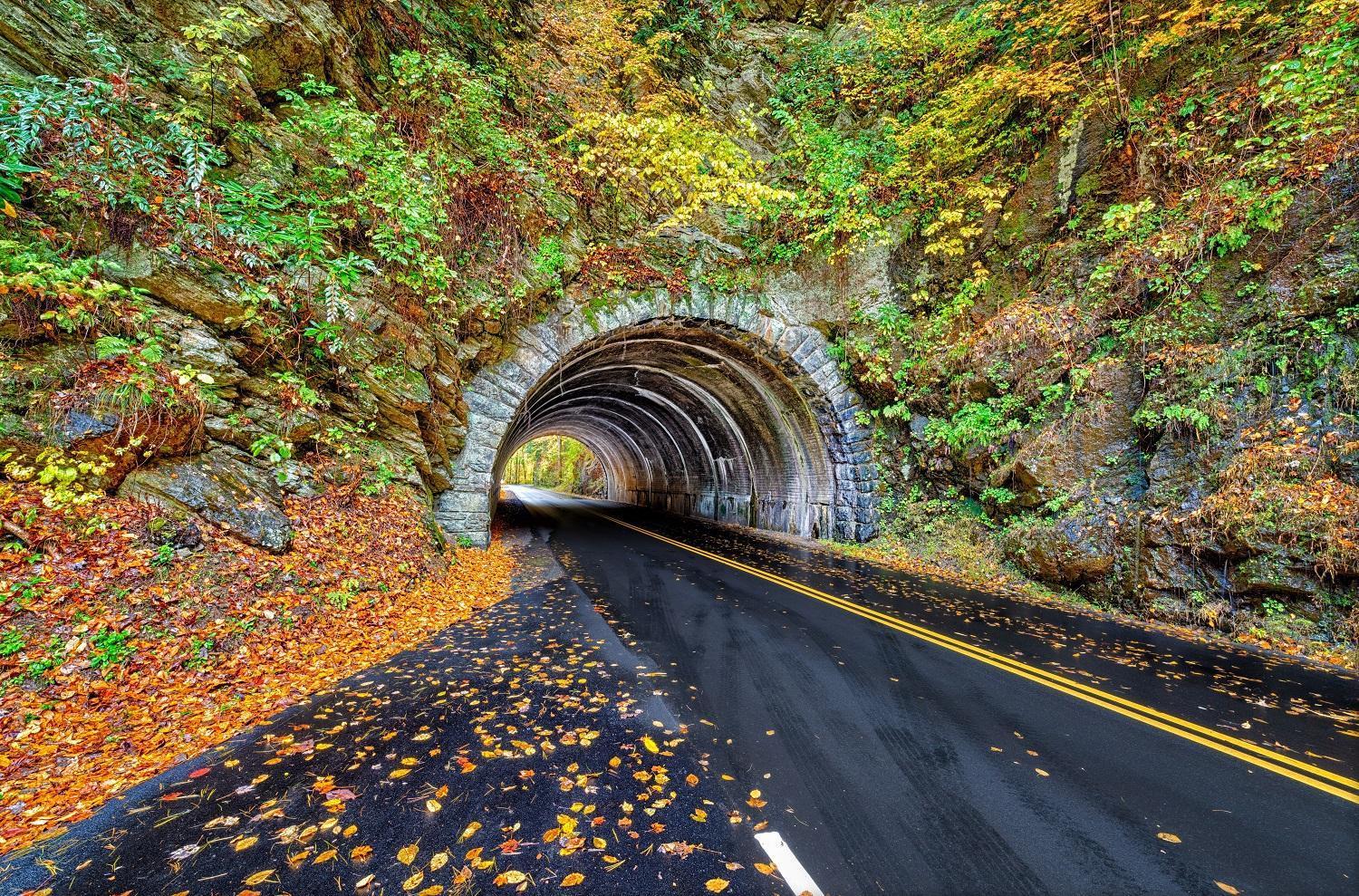 Smoky Mountain Serenity, Amazing Mountain Views 1089 Free Tickets Each Paid Day, Dollywood And More سيفيرفيل المظهر الخارجي الصورة